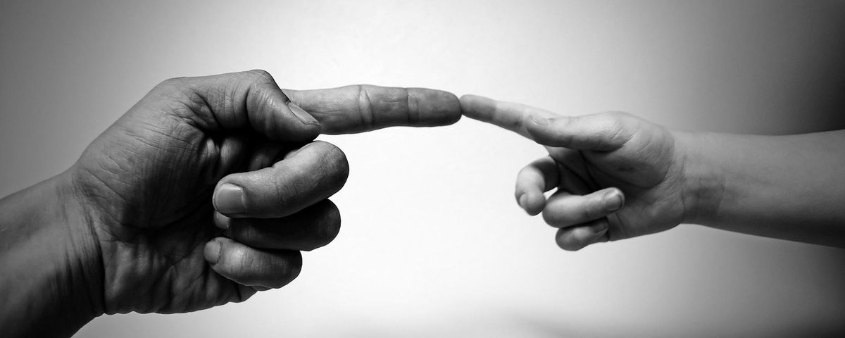 Optik Tannenbaum Service